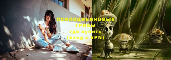 МДПВ Аркадак