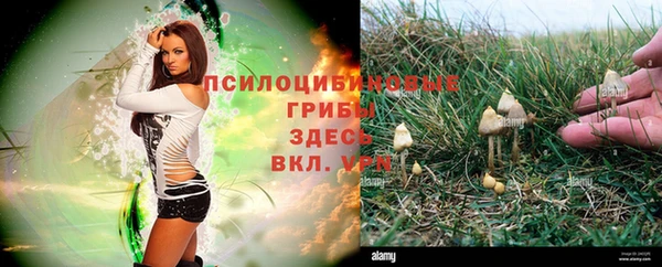 соль курить ск Армянск