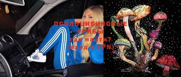 a pvp Арсеньев