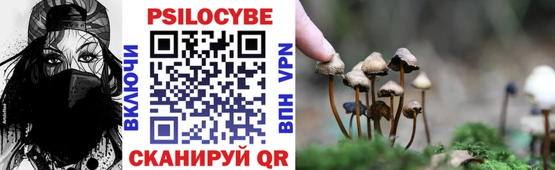 блэк спрут ССЫЛКА  Высоцк  Галлюциногенные грибы ЛСД  площадка телеграм  где продают  