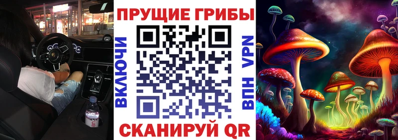 Псилоцибиновые грибы прущие грибы Высоцк