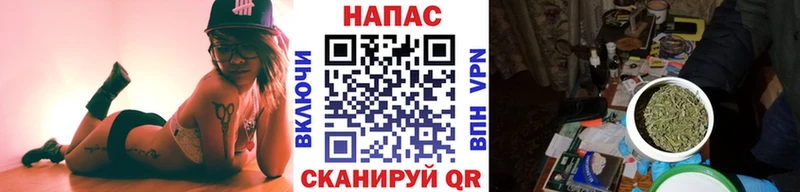 Марихуана гибрид  Высоцк 